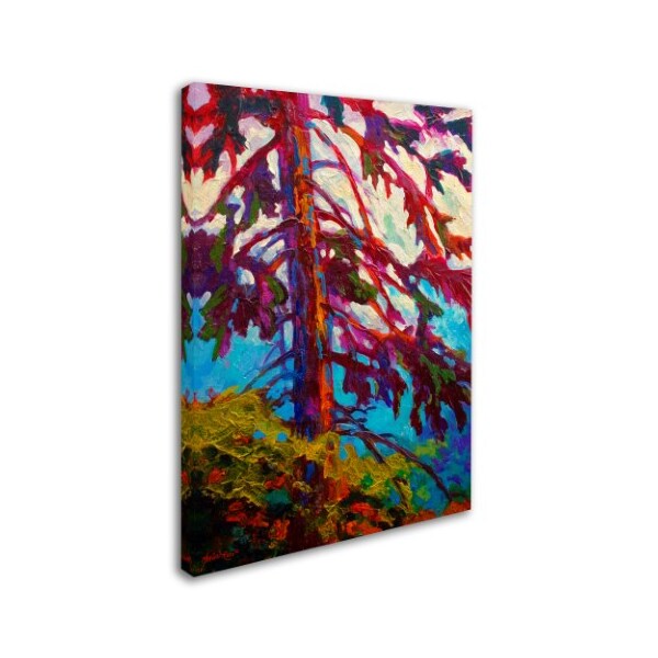 Marion Rose 'Forest Elder' Canvas Art,18x24